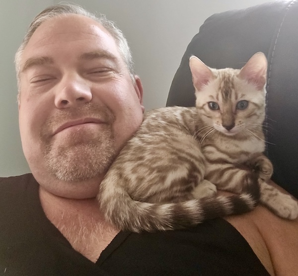 bengal cat being held