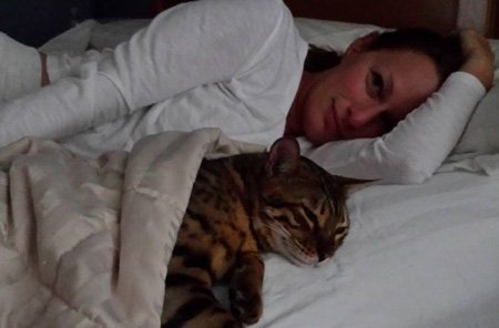 bengal cat snuggling
