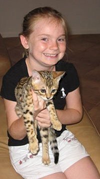 little girl with her bengal kitten