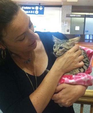 bengal cat at the airport