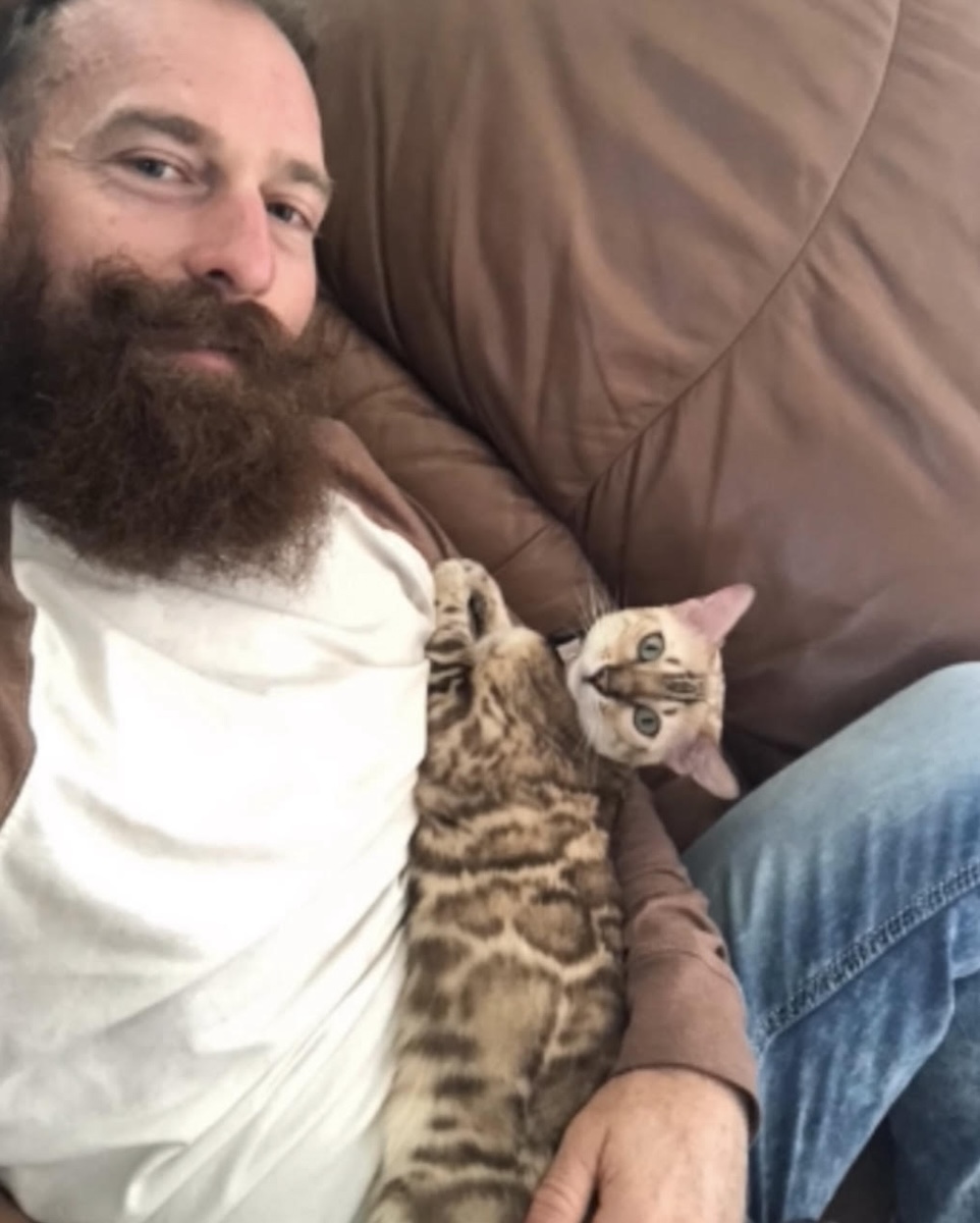 bengal cat outside