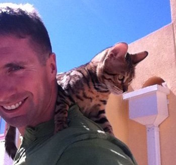 bengal cat on shoulders