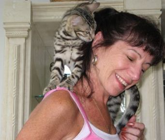 Bengal cat love standing on shoulders