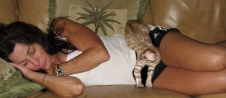 bengals sleeping ontop of people