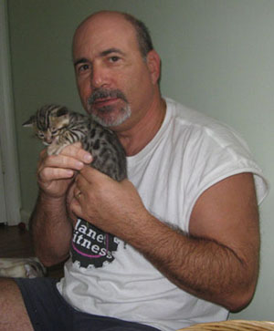 bengal kitten being held