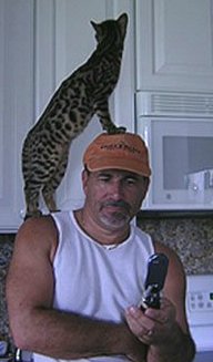 Bengal breeder queen Star